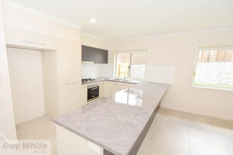 Property photo of 31 Agnes Place Bli Bli QLD 4560