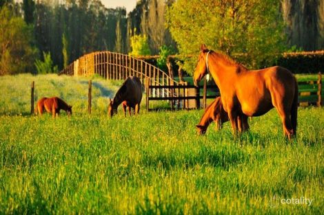 Property photo of 110 Finns Road Menangle NSW 2568