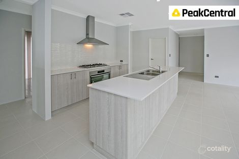 20 Lovage St, Treeby, WA 6164