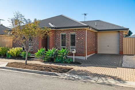 13 Erie Dr, Seaford Meadows, SA 5169