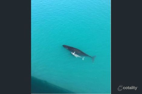 Property photo of 7 Peninsula Drive Hay Point QLD 4740