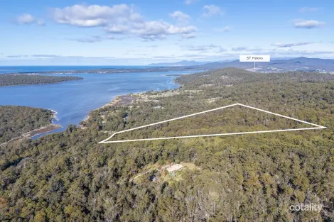503 Binalong Bay Rd, St Helens, TAS 7216