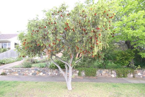 40 Fairbrae Ave, Belmont, VIC 3216