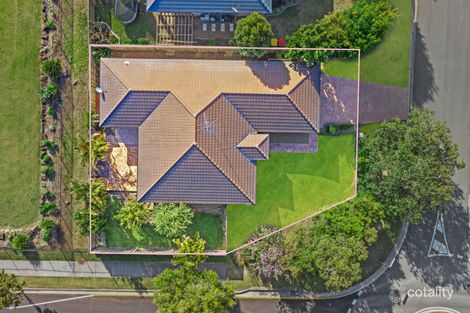 Property photo of 65 Conebush Circuit Ormeau QLD 4208