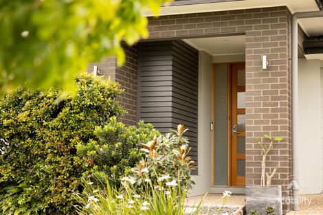 Property photo of 7 Wollemi Street Pimpama QLD 4209