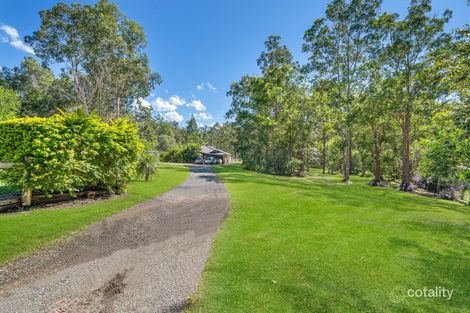 Property photo of 21 Wallaroo Court Greenbank QLD 4124