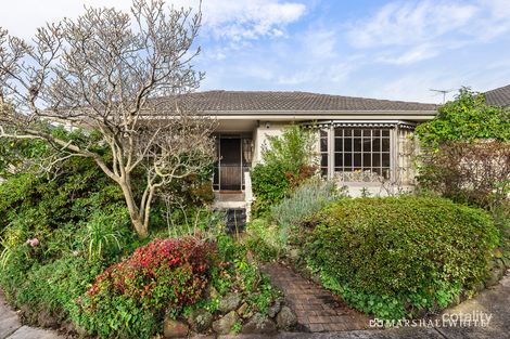 3/1219 Burke Rd, Kew, VIC 3101