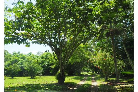 Property photo of 2017 Tully Mission Beach Road Wongaling Beach QLD 4852