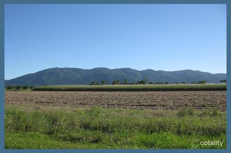 Lot 207 Crossan Rd, Midgenoo, QLD 4854