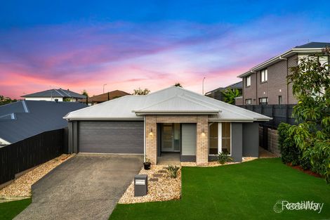 Property photo of 12 Songlark Crescent Springfield QLD 4300