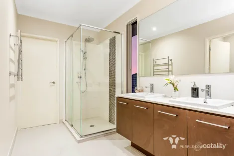 Property photo of 49 Serene Crescent Springfield Lakes QLD 4300