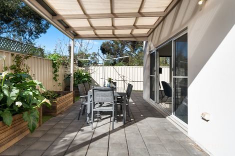 Property photo of 17 Mary Crescent Newton SA 5074