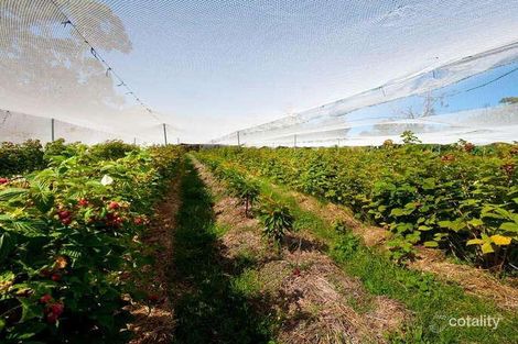 Property photo of 1354 Hepburn-Newstead Road Yandoit VIC 3461