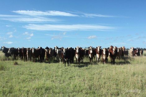 1748 Yeovil Rd, Taroom, QLD 4420