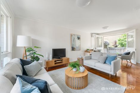 3/762 Whitehorse Rd, Mont Albert, VIC 3127