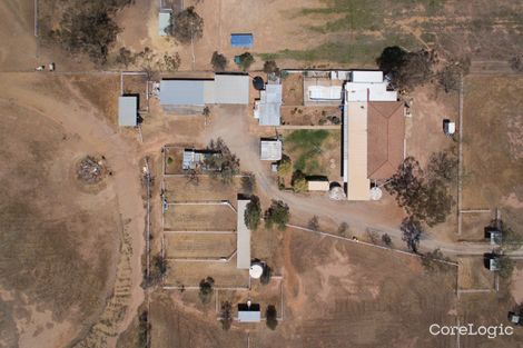 Property photo of 405 Black Jack Road Gunnedah NSW 2380