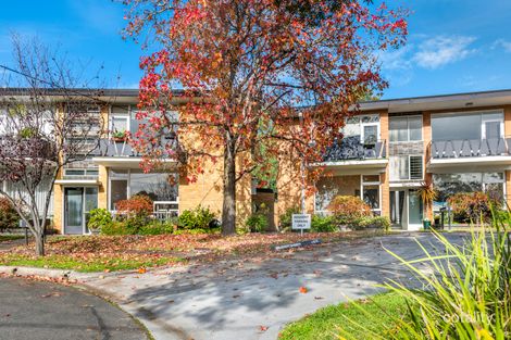Property photo of 8/11 Ardene Court Hawthorn VIC 3122