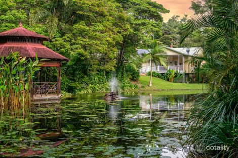 Property photo of 3 Trinity Close Julatten QLD 4871
