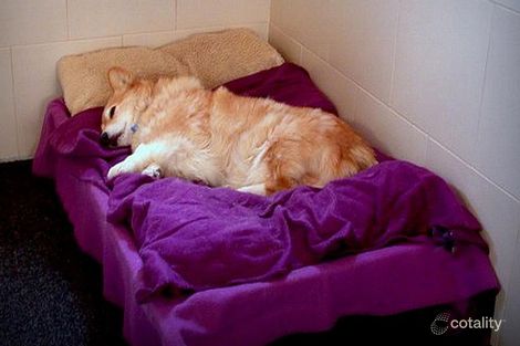 5 Sarah Rd, Riana, TAS 7316