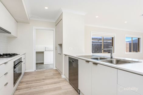 Property photo of 17 Limestone Avenue Spring Farm NSW 2570