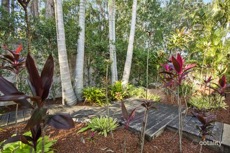 Property photo of 23 Forest Ridge Circuit Peregian Springs QLD 4573