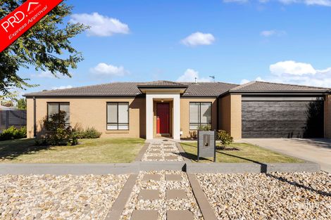 Property photo of 10 Cobb Court Kangaroo Flat VIC 3555