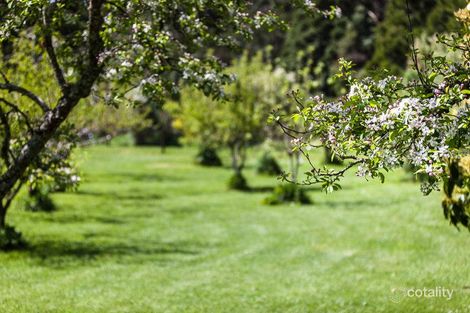 Property photo of 1145 Barham River Road Apollo Bay VIC 3233