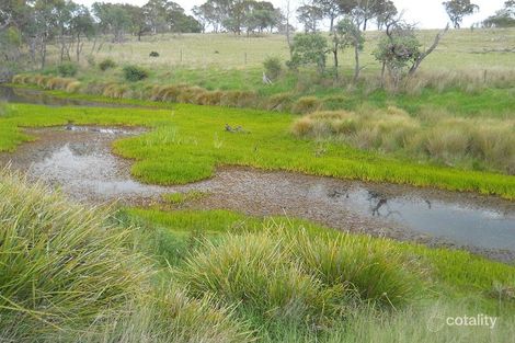 Property photo of 211 Coochie Road Dalveen QLD 4374