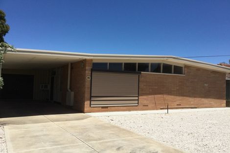 Property photo of 41 Dorothy Street Brahma Lodge SA 5109