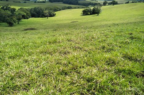 Property photo of 425 Bauld Road Glen Allyn QLD 4885