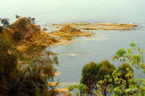 Property photo of 14 Flowerpot Crescent Blackmans Bay TAS 7052