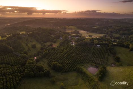 475 Pearces Creek Rd, Alstonvale, NSW 2477