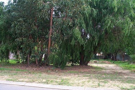 1 Windsor Way, Falcon, WA 6210