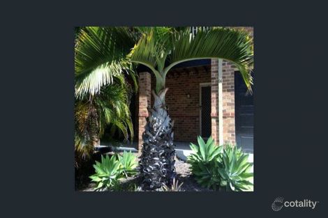 Property photo of 14 Silkwood Drive Noosaville QLD 4566