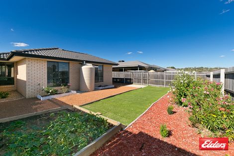 Property photo of 19 Rag Holmes Street Macgregor ACT 2615