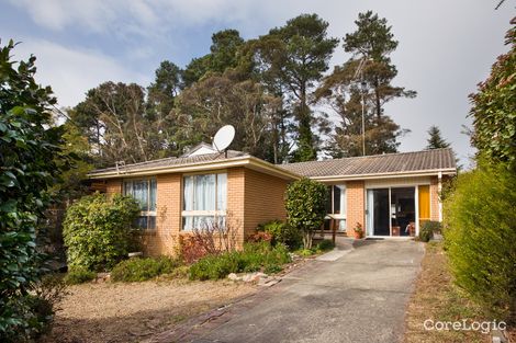 Property photo of 17 Irvine Avenue Blackheath NSW 2785