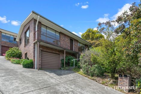 1/285 Churchill Ave, Sandy Bay, TAS 7005