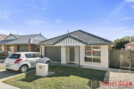 Property photo of 31 Macleay Crescent Tingalpa QLD 4173