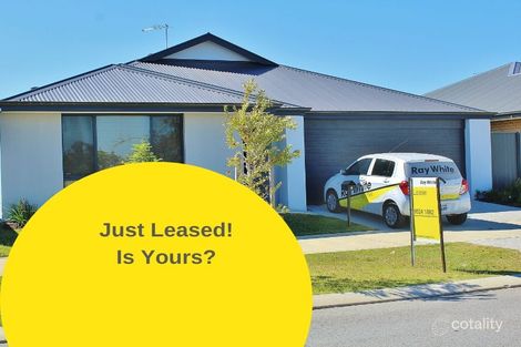 4 Butterleaf Rd, Baldivis, WA 6171