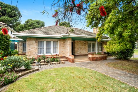 Property photo of 19 Willingale Avenue Lockleys SA 5032