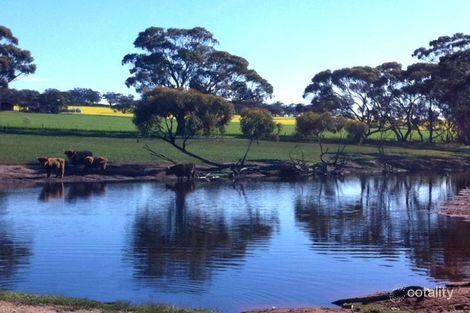 557 Red Gully Rd, Nunile, WA 6566