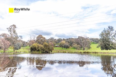 113 Gocup Farms Rd, Gocup, NSW 2720