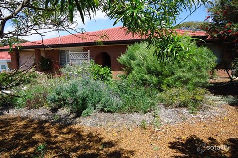 Property photo of 89 Carson Terrace Geraldton WA 6530