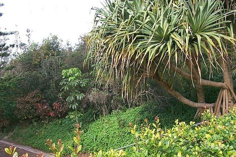 56 Bryan St, Sunshine Beach, QLD 4567