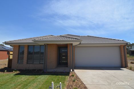 8 Whitehaven Ch, Armstrong Creek, VIC 3217