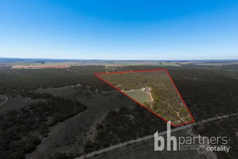 427 Codrington Rd, Mannum, SA 5238