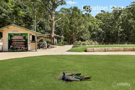 Property photo of 1 Orchardtown Road New Lambton NSW 2305