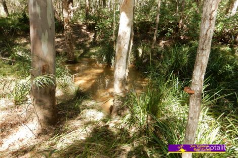 Property photo of 32 Arborthree Road Glenwood QLD 4570