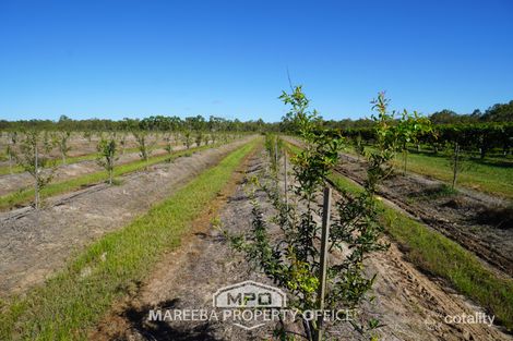 Property photo of 446 Chewko Road Mareeba QLD 4880