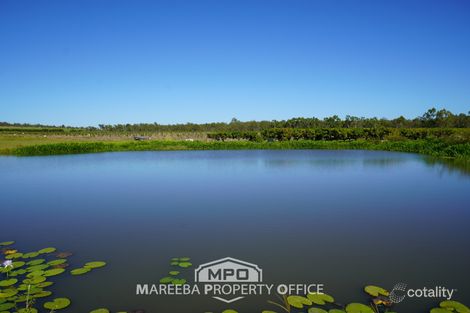 Property photo of 446 Chewko Road Mareeba QLD 4880